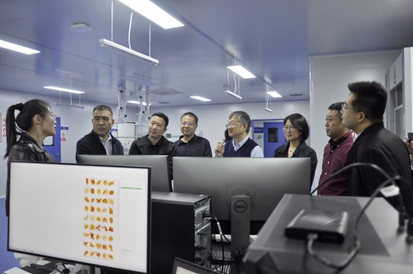 _DSC0036_副本 _DSC0036_副本.jpg